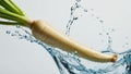 Fresh parsnip on white background, splashed with water