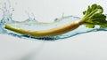 Fresh parsnip on white background, splashed with water