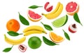 Flying exotic fruits. banana, lime, lichee, grapefruit and orange fruit isolated on white background. clipping path