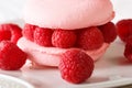 Fresh pastry pink macaron with raspberry macro. horizontal