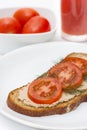 Fresh pate on bread with tomatoes