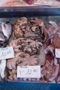 fresh pctopus (translation: pulpo) and sea bream (translation: orata) sold at italian fish market