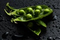 Fresh pea close-up in water drops on a black background