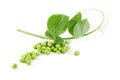 Fresh pea fruit with green leaf Royalty Free Stock Photo