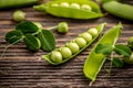 Fresh pea fruit Royalty Free Stock Photo