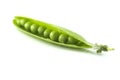 Fresh pea Royalty Free Stock Photo