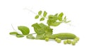 Fresh pea with green leaf Royalty Free Stock Photo