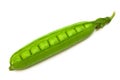 Fresh pea pod Royalty Free Stock Photo
