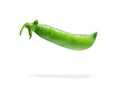 Fresh pea pod, closeup Royalty Free Stock Photo