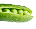 Fresh pea pod, closeup Royalty Free Stock Photo
