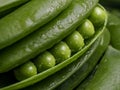 Fresh pea pod, closeup Royalty Free Stock Photo