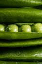 Fresh pea pod, closeup Royalty Free Stock Photo