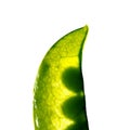 Fresh pea pod, closeup Royalty Free Stock Photo