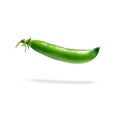 Fresh pea pod, closeup Royalty Free Stock Photo