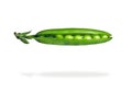 Fresh pea pod, closeup Royalty Free Stock Photo