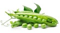 Fresh pea in the pod with green leaves Royalty Free Stock Photo