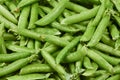 Fresh pea pods as background. Top view Royalty Free Stock Photo