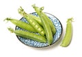 Fresh Pea pods Royalty Free Stock Photo