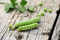 Fresh pea pods wooden boards Royalty Free Stock Photo