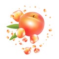 Fresh peach fruit vector. Realictyc image. Royalty Free Stock Photo