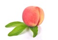 Fresh peach fruit on white background Royalty Free Stock Photo