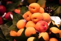 Fresh peach fruits in a basket on a fruit market Royalty Free Stock Photo