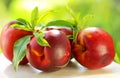 Fresh peach fruits with green leaves