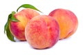 Fresh peach fruits with leaf Royalty Free Stock Photo