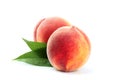 Fresh peach fruits with leaf isolated. Royalty Free Stock Photo