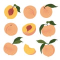 Fresh Peach fruits set. Vitamin Fruit. Vector illustration, isolated on a white background Royalty Free Stock Photo