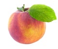 Fresh peach with green leaf Royalty Free Stock Photo