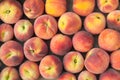 Fresh peach heap Royalty Free Stock Photo