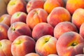 Fresh peach heap Royalty Free Stock Photo