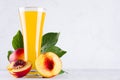 Fresh peach juice in elegance glass and ripe red nectarines with green leaves on soft white wood board, closeup. Royalty Free Stock Photo