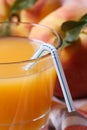 Fresh peach juice in glass macro and ripe fruit. Vertical Royalty Free Stock Photo