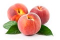 Fresh peach on a white background with leaves Royalty Free Stock Photo