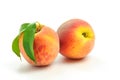 Fresh Peaches