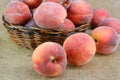 Fresh Peaches Royalty Free Stock Photo