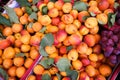 Fresh peaches Royalty Free Stock Photo