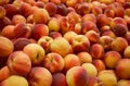 Fresh peaches Royalty Free Stock Photo