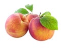 Fresh peaches Royalty Free Stock Photo