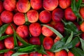 Fresh peaches background Royalty Free Stock Photo