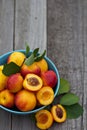 Fresh peaches in blue bowl Royalty Free Stock Photo