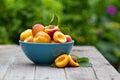 Fresh peaches in blue bowl Royalty Free Stock Photo