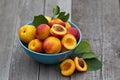 Fresh peaches in blue bowl Royalty Free Stock Photo