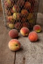 Fresh peaches fruits in basket on dark wooden rustic background, top view. Summer harvest of fruit. Still life. A group of ripe Royalty Free Stock Photo