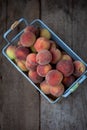 Fresh peaches fruits with in basket on dark wooden rustic background, top view. Summer harvest of fruits. Still life. A group of Royalty Free Stock Photo