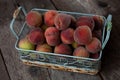 Fresh peaches fruits with in basket on dark wooden rustic background, top view. Summer harvest of fruits. Still life. A group of Royalty Free Stock Photo