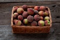 Fresh peaches fruits with in basket on dark wooden rustic background, top view. Summer harvest of fruits. Still life. A group of Royalty Free Stock Photo