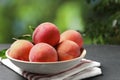 Fresh peaches and leaves in bowl on grey textured table against blurred green background, closeup Royalty Free Stock Photo